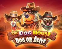 The Dog House - Dog Or Alive